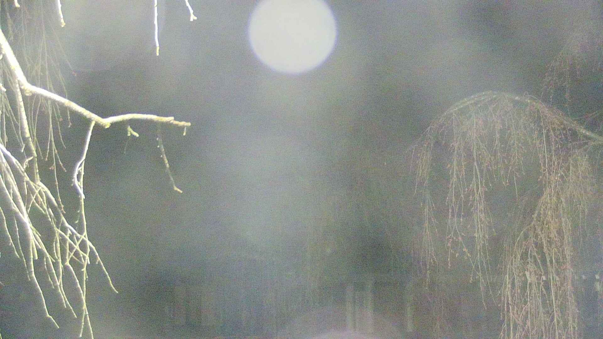 area2-20250419030106.jpg