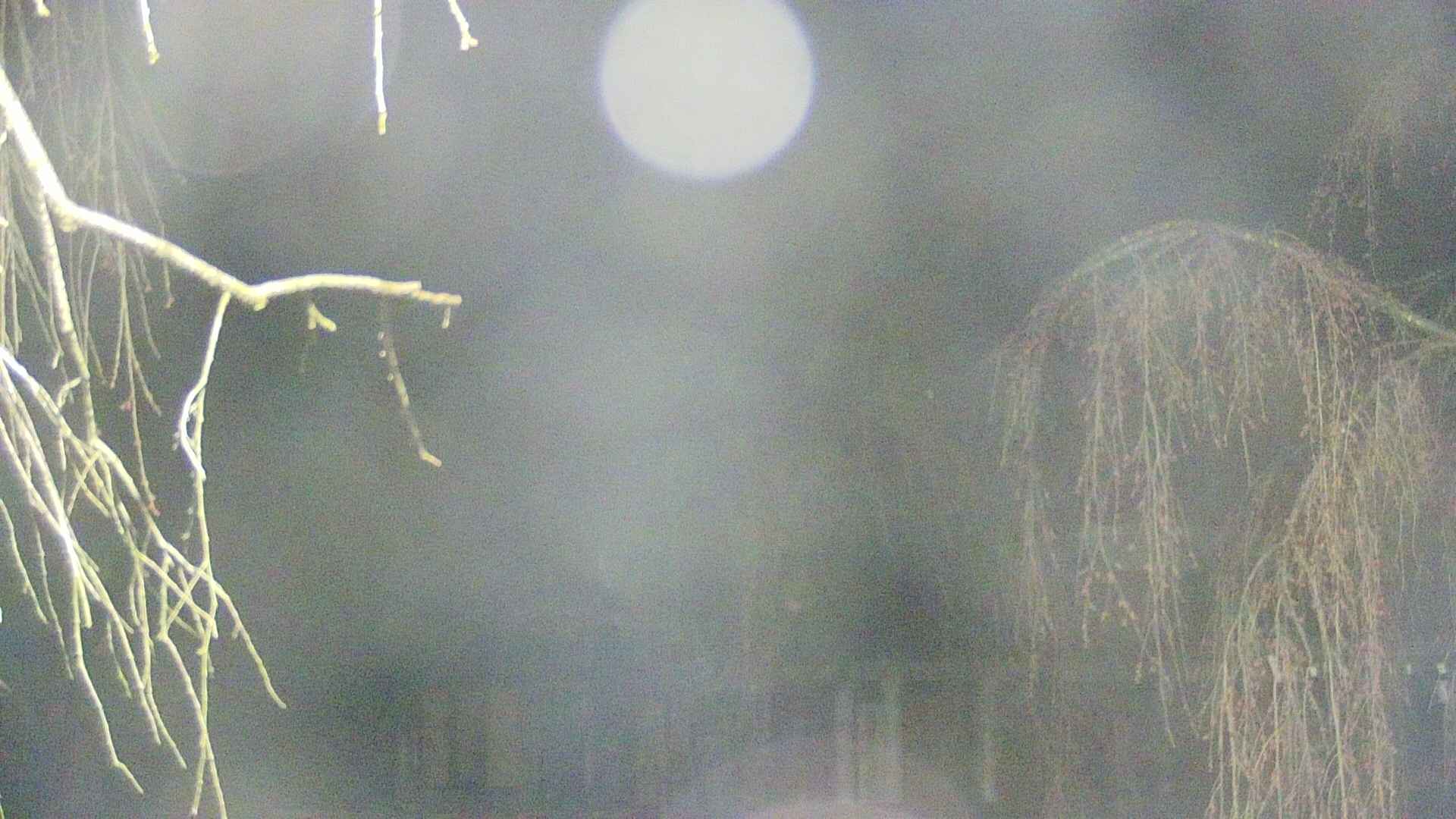 area2-20250419031106.jpg