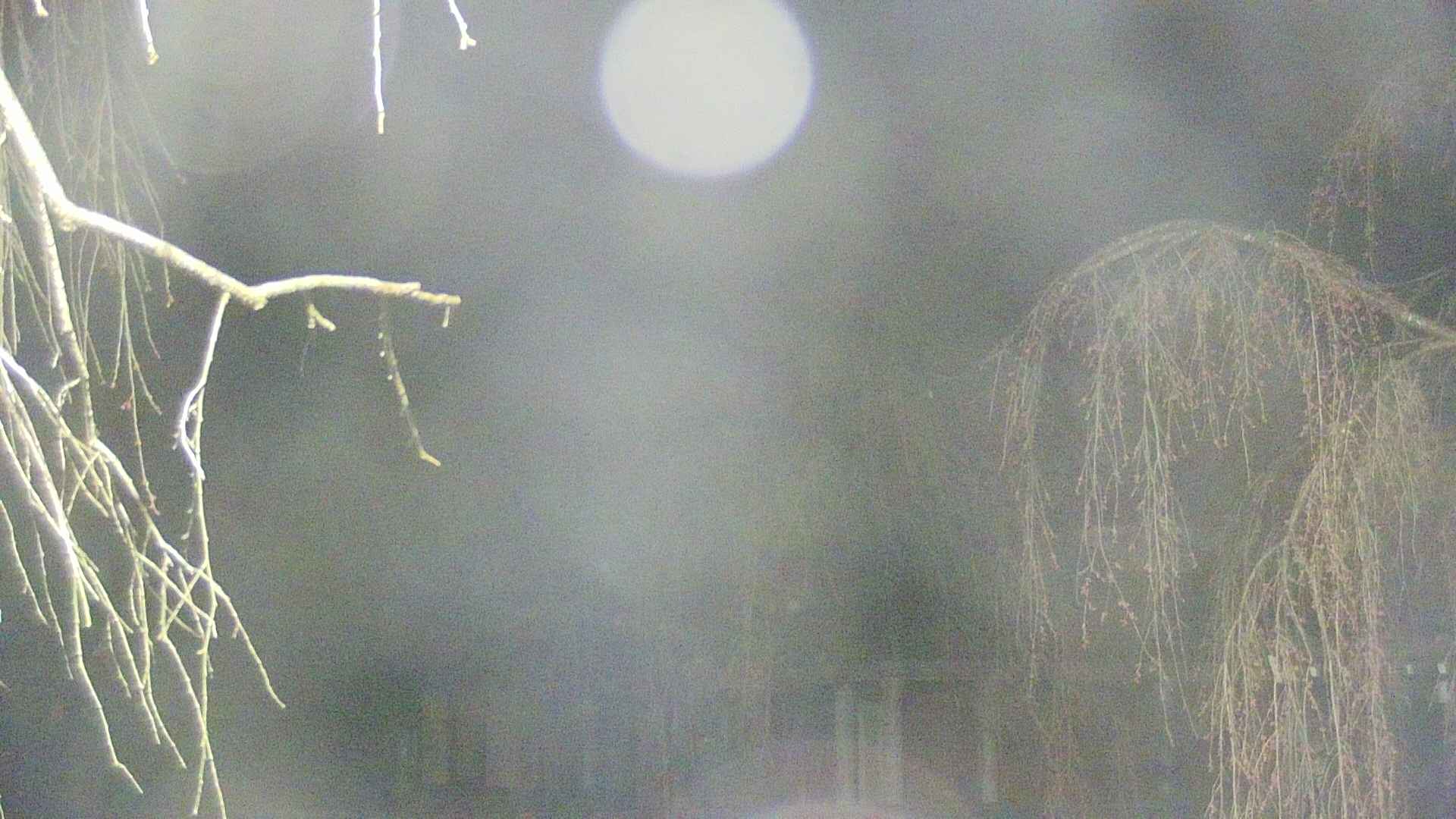 area2-20250419032106.jpg