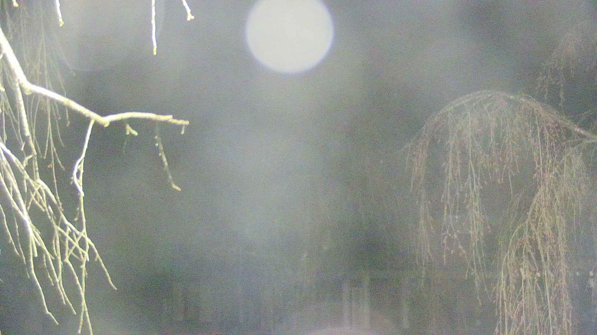 area2-20250419033107.jpg