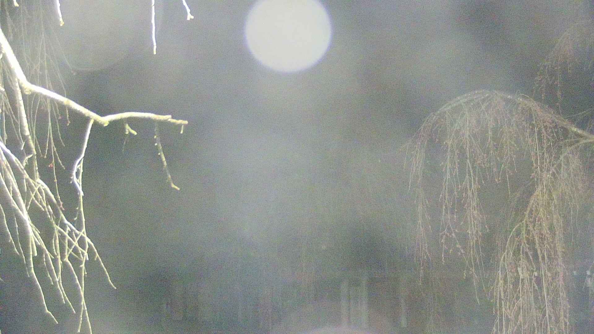 area2-20250419035105.jpg