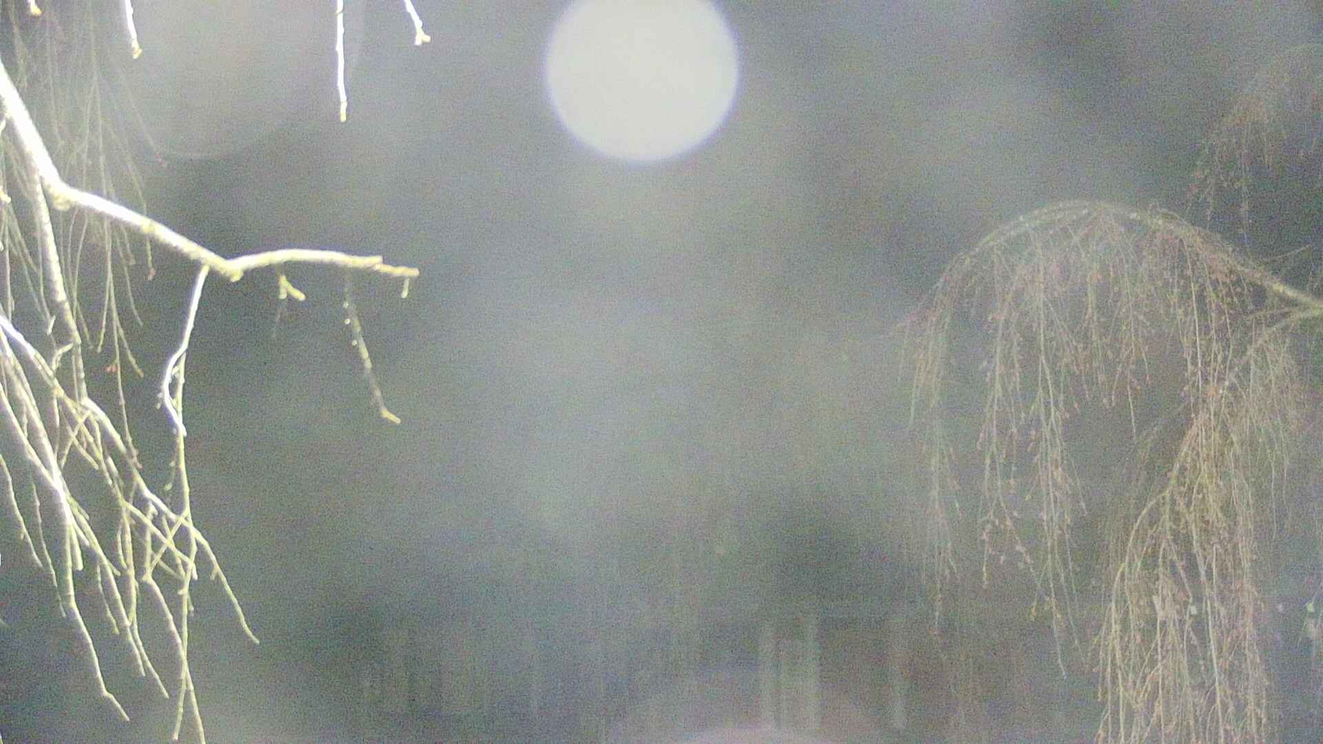 area2-20250419040106.jpg