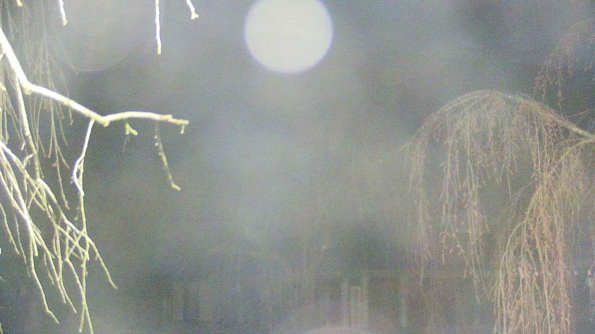 area2-20250419041105.jpg