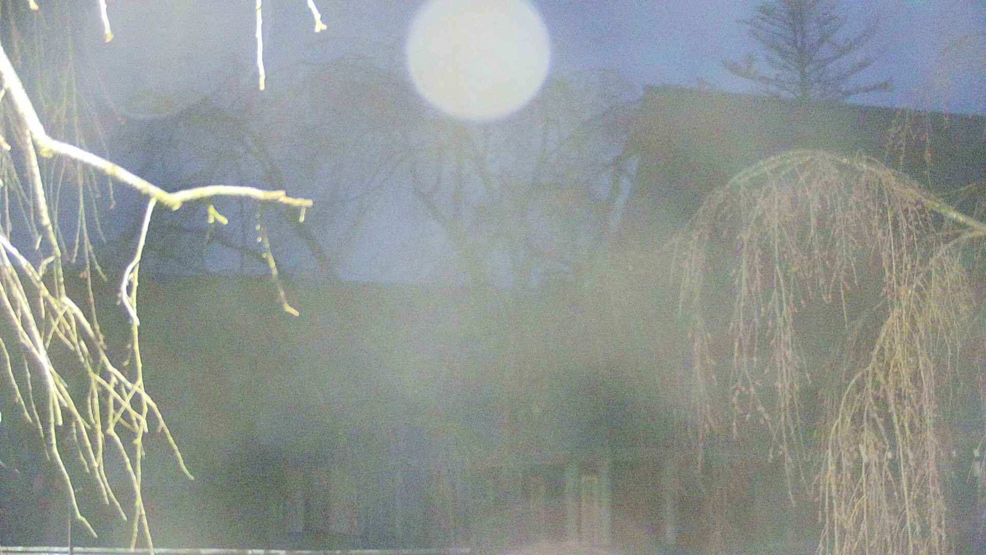 area2-20250419042106.jpg