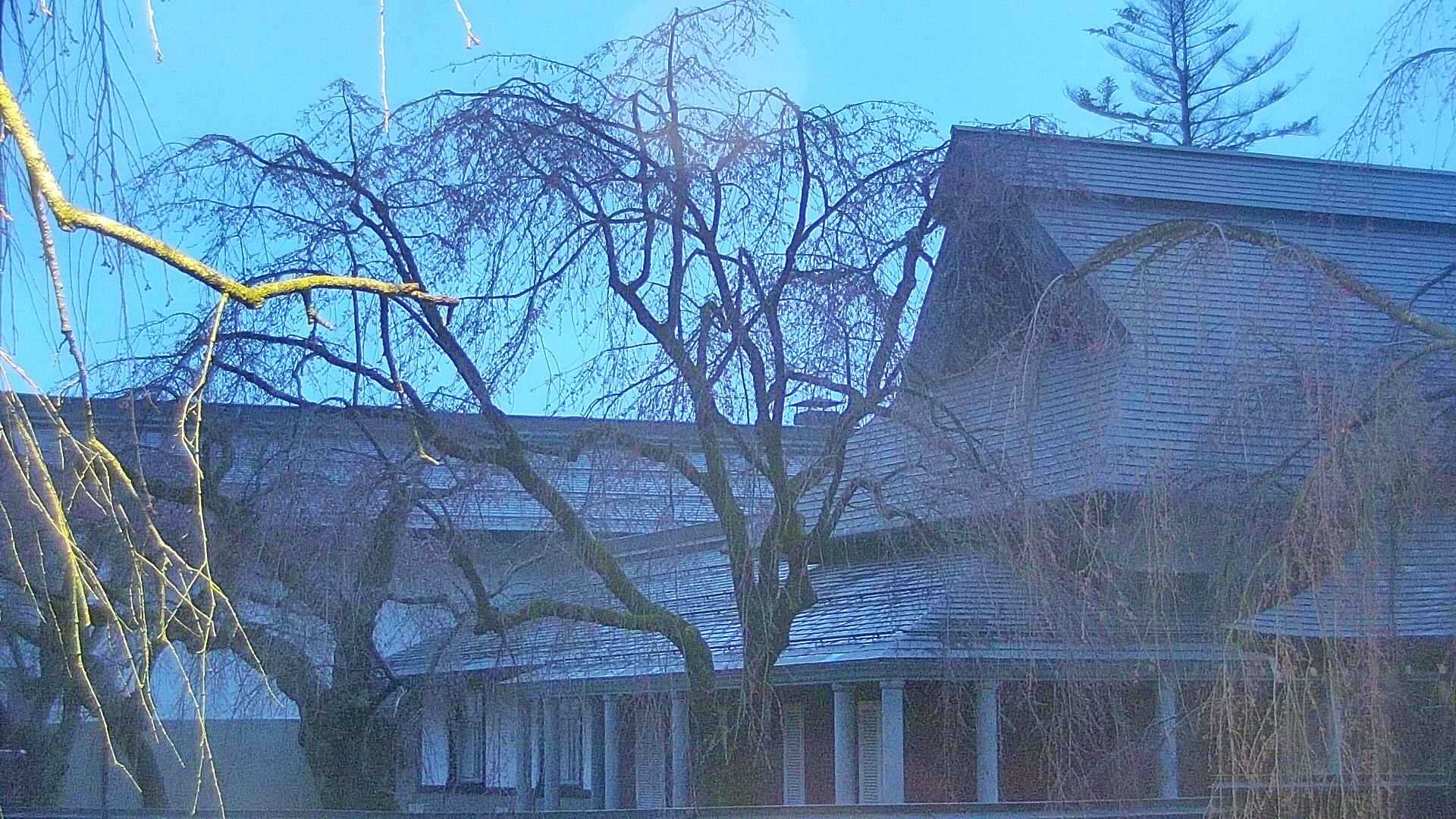 area2-20250419044106.jpg