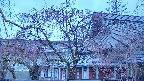 area2-20250419050107.jpg