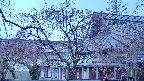 area2-20250419051106.jpg