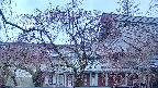 area2-20250419052106.jpg