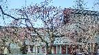 area2-20250419120106.jpg