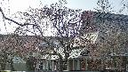 area2-20250419162106.jpg
