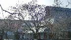 area2-20250419165106.jpg