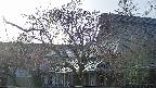 area2-20250419171105.jpg