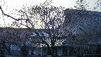 area2-20250419174112.jpg