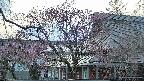 area2-20250419175105.jpg