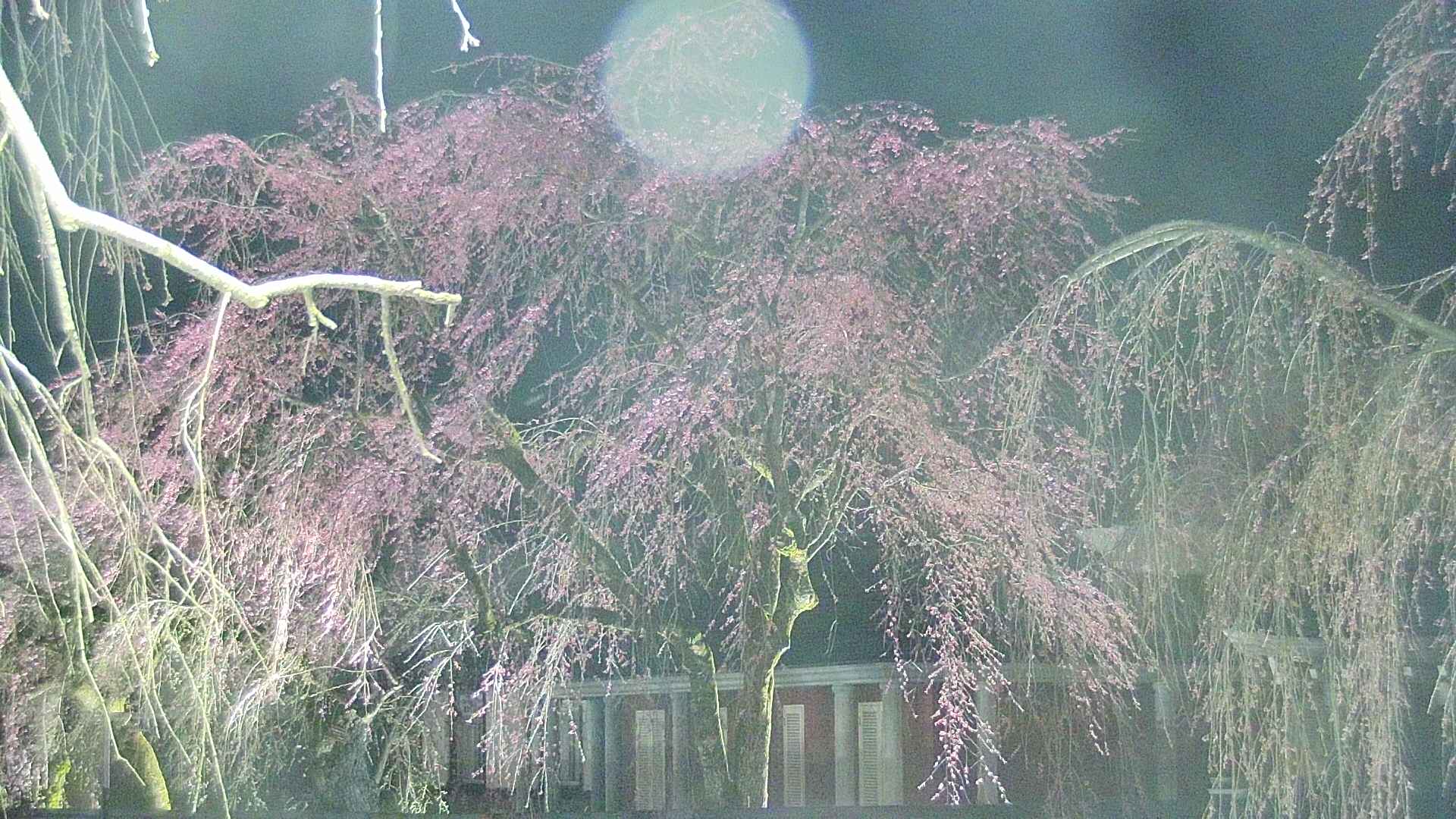 area2-20250419190106.jpg