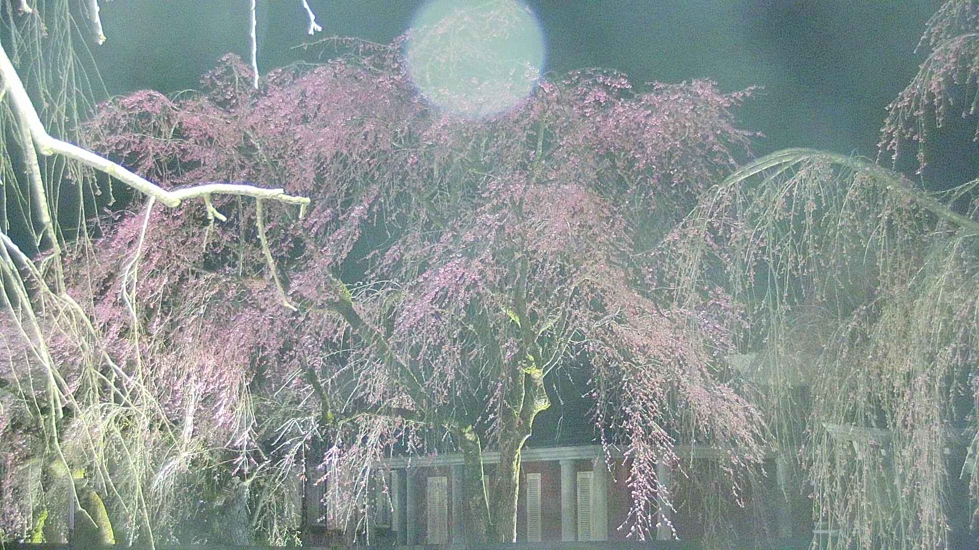 area2-20250419192105.jpg