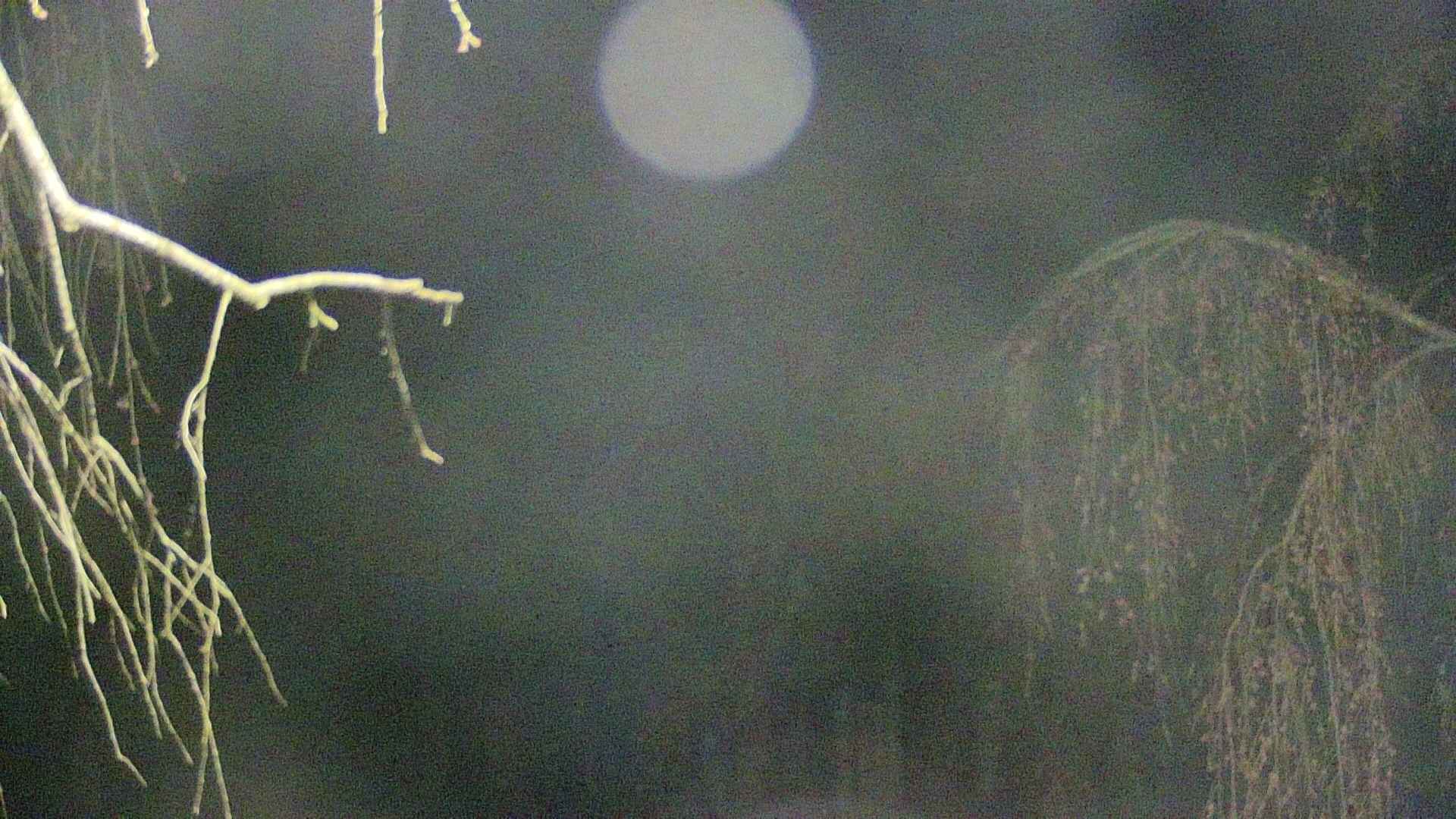 area2-20250420015106.jpg