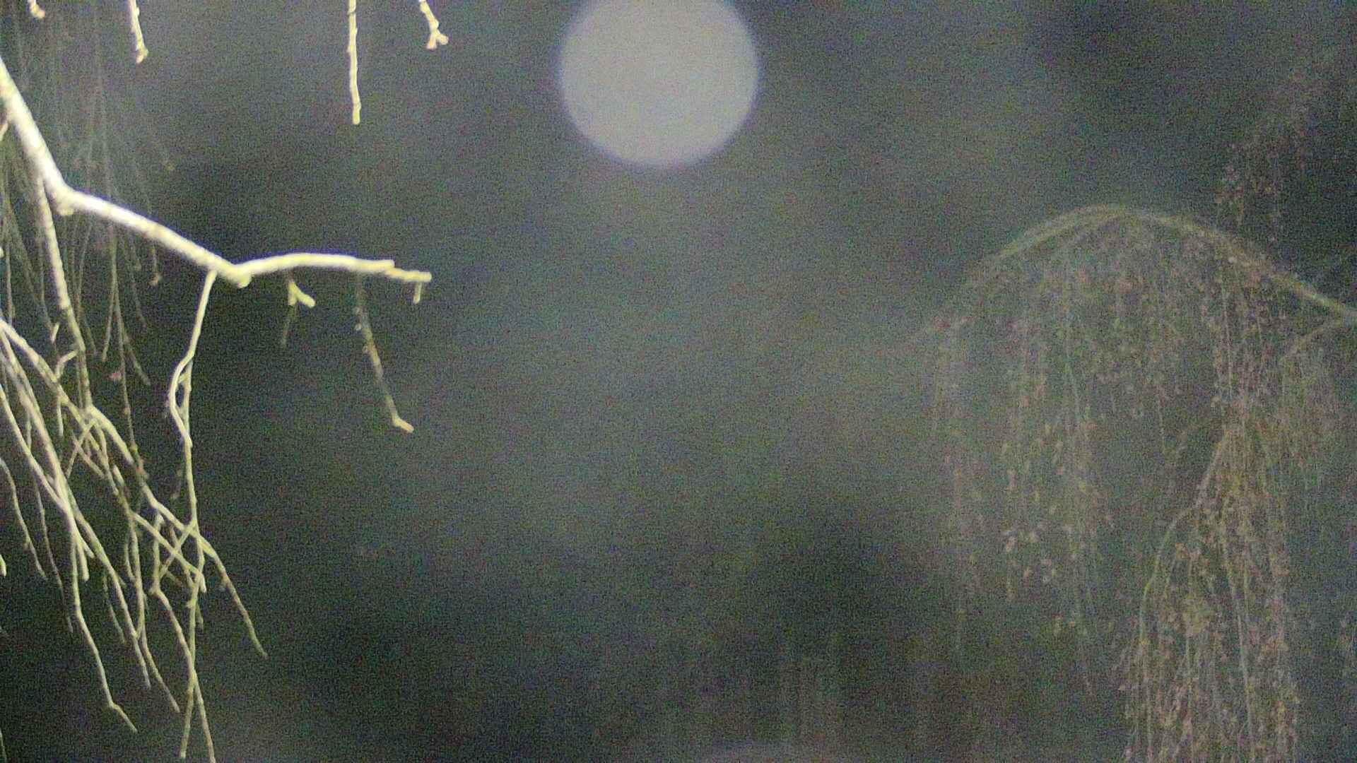 area2-20250420021106.jpg