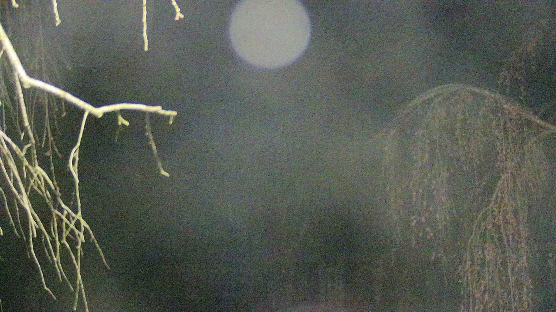 area2-20250420023106.jpg