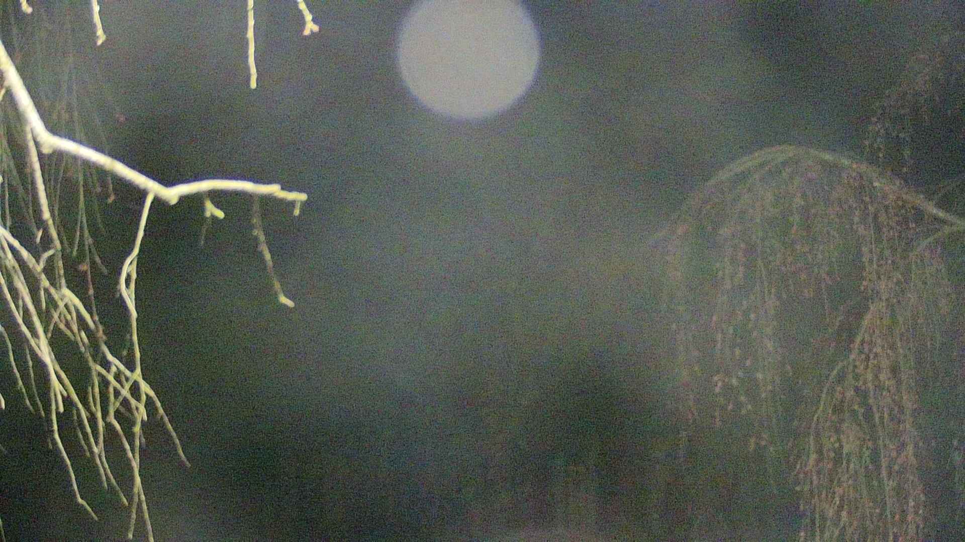 area2-20250420030106.jpg