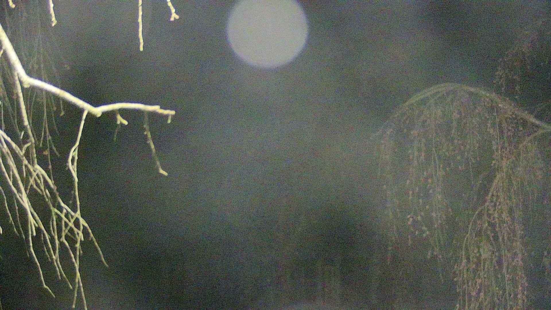 area2-20250420034105.jpg