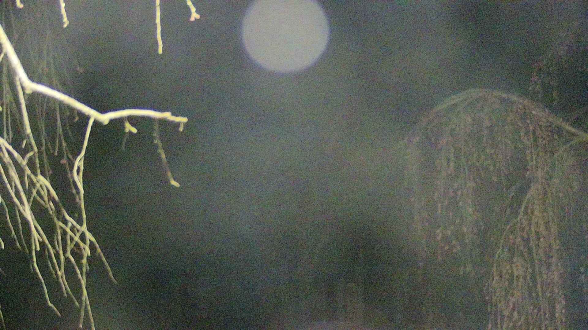 area2-20250420040107.jpg