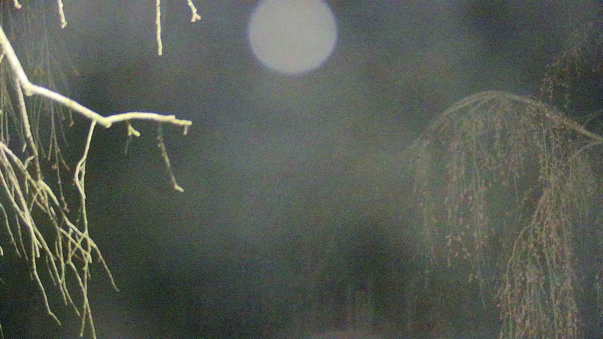 area2-20250420041107.jpg
