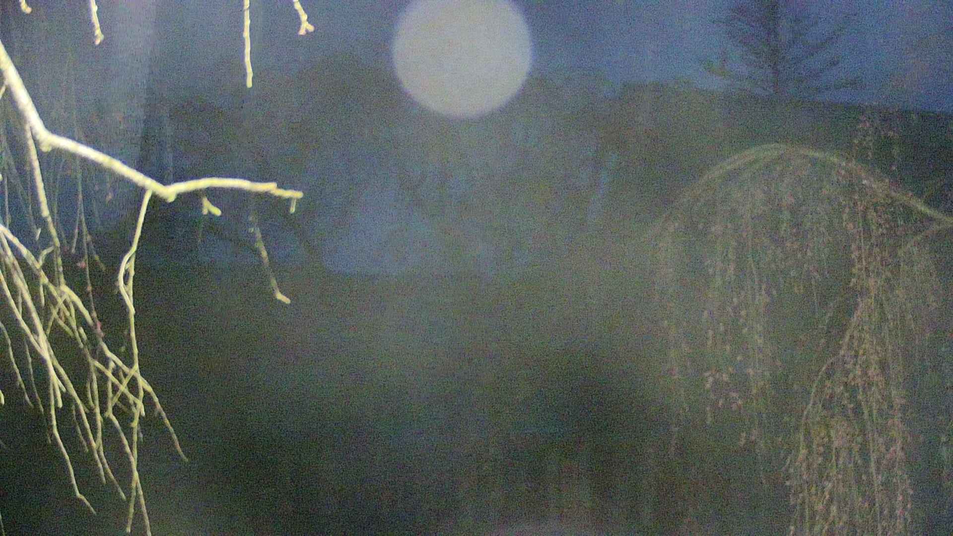 area2-20250420042106.jpg