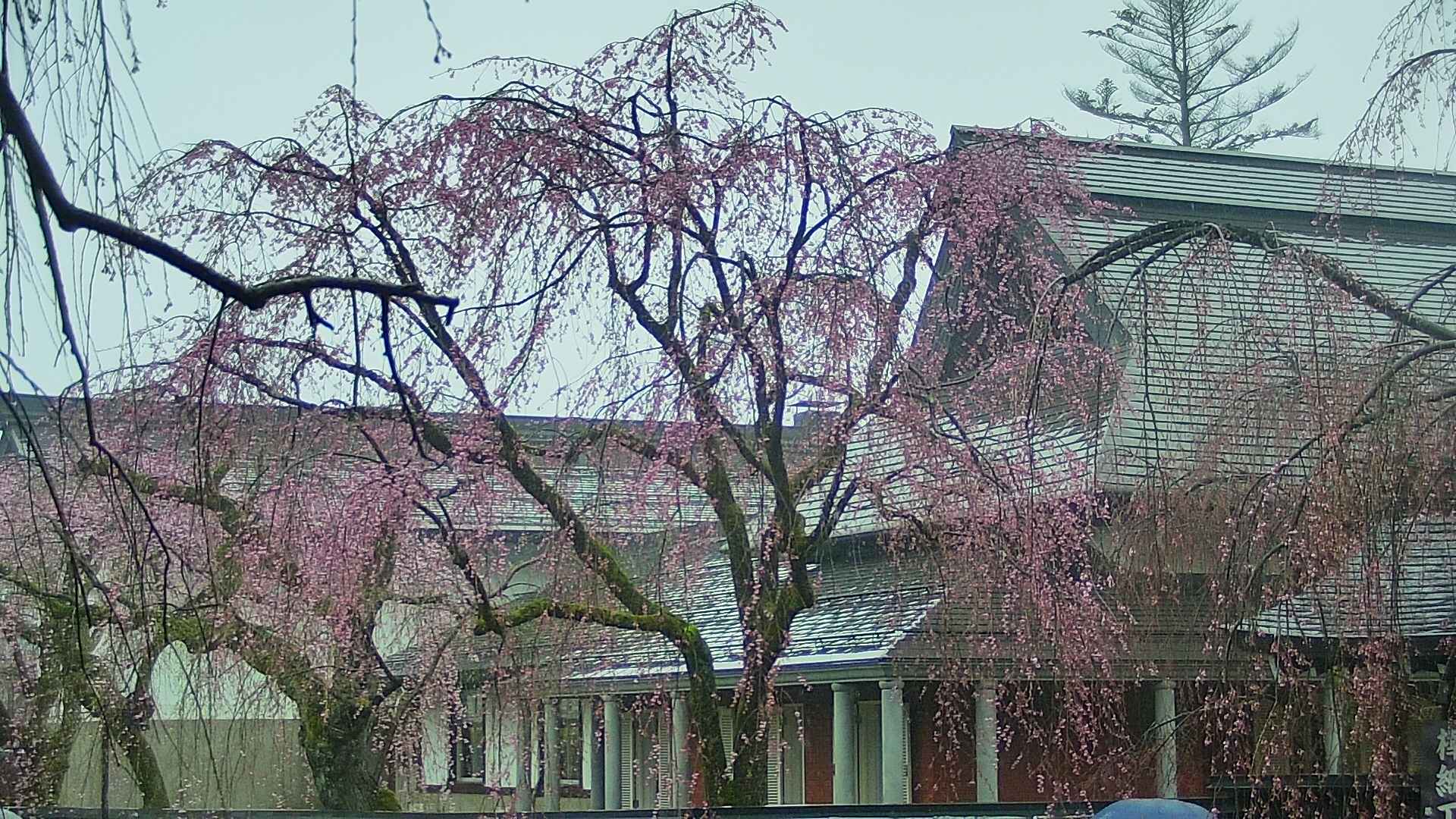 area2-20250420112106.jpg