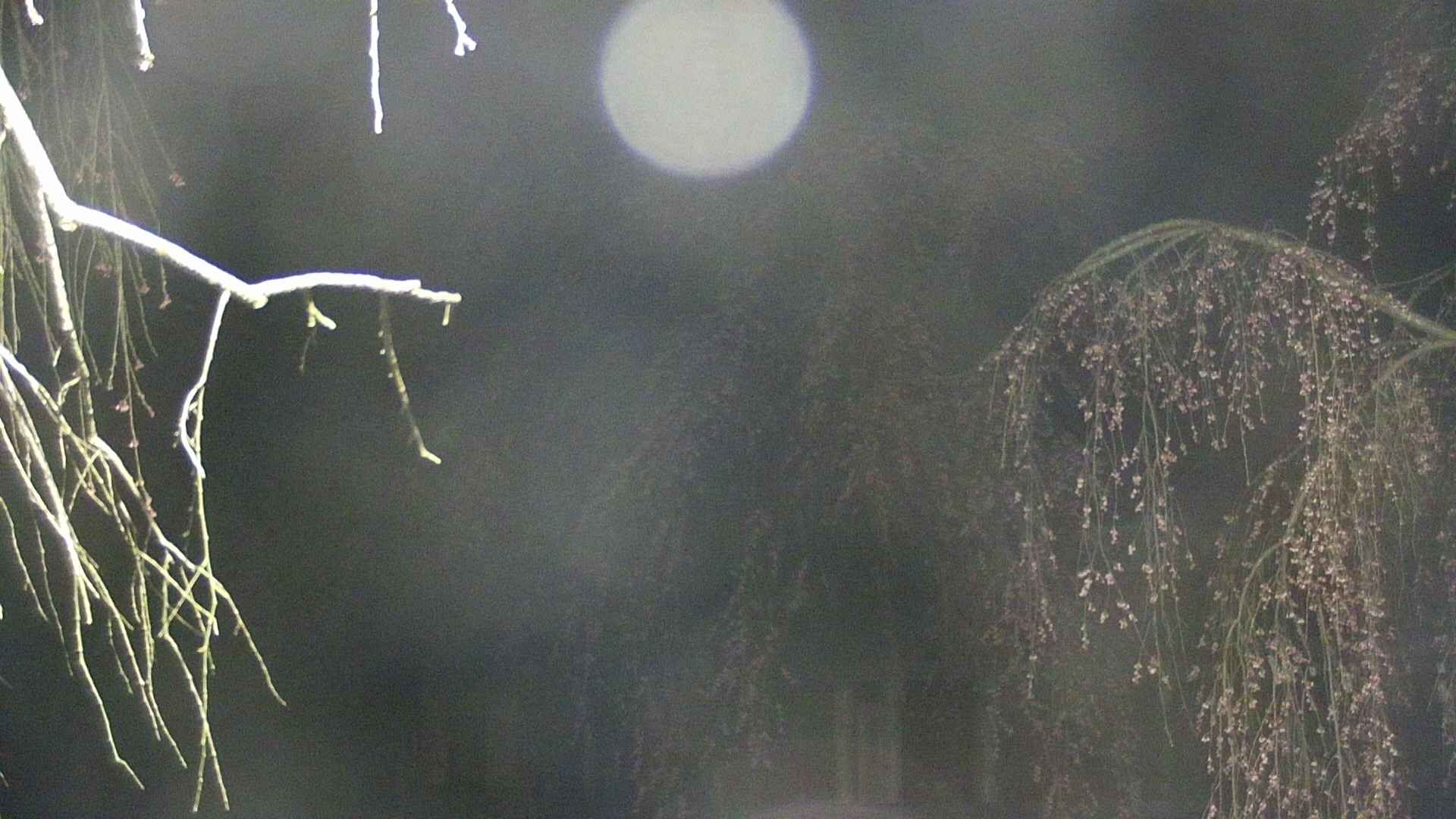 area2-20250421015106.jpg
