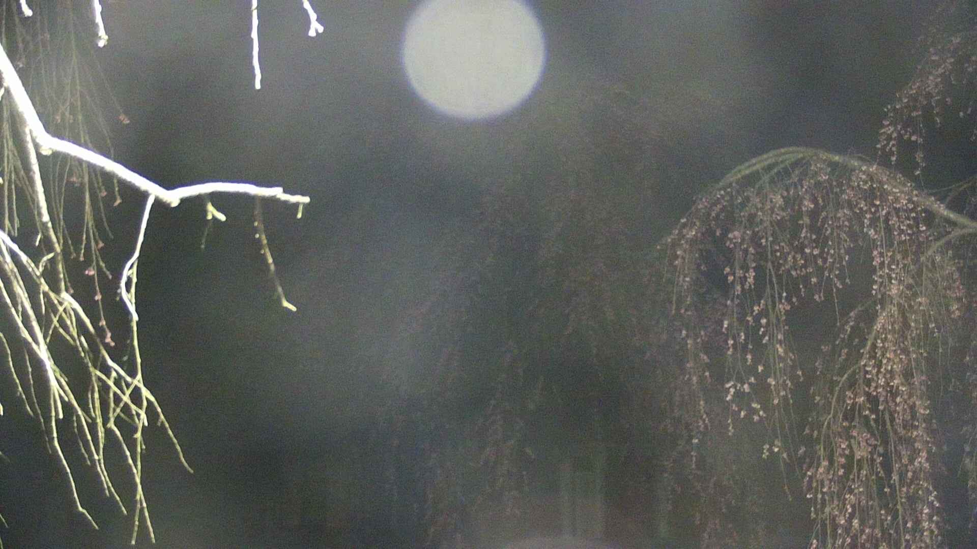 area2-20250421021108.jpg