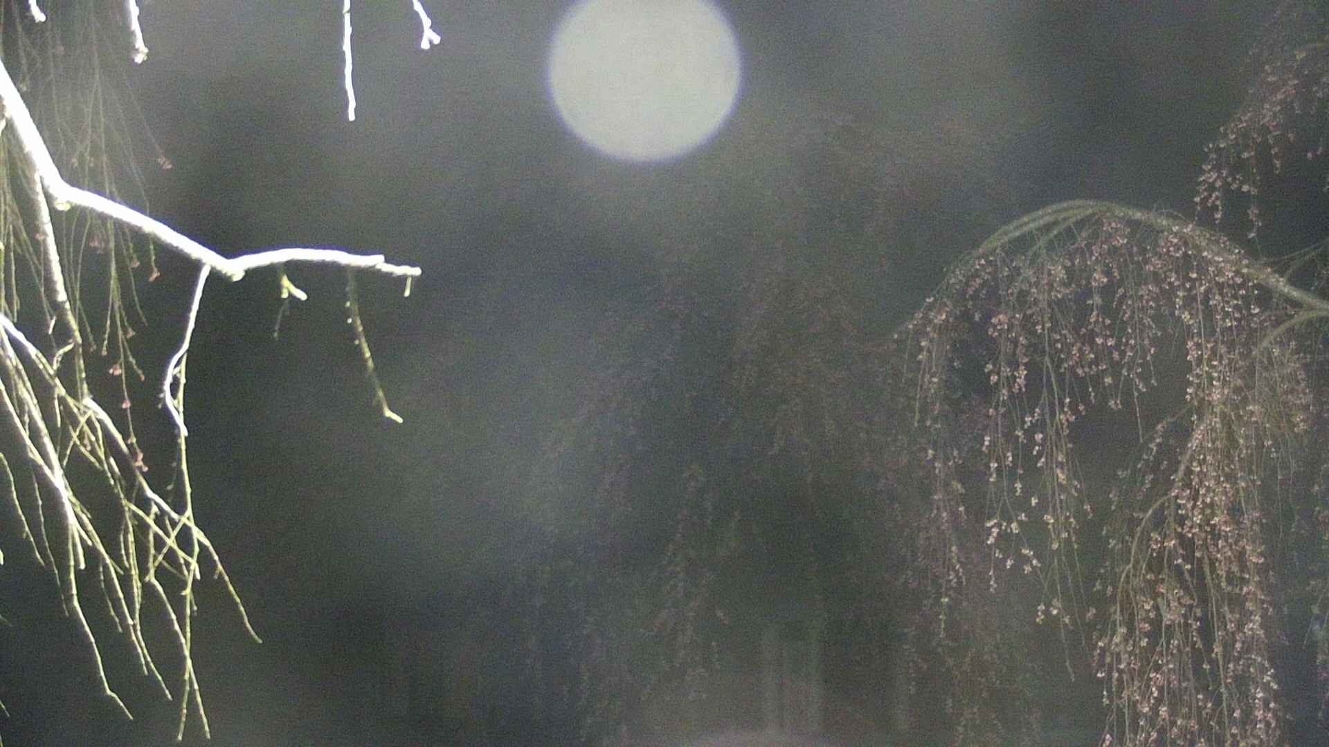 area2-20250421023107.jpg