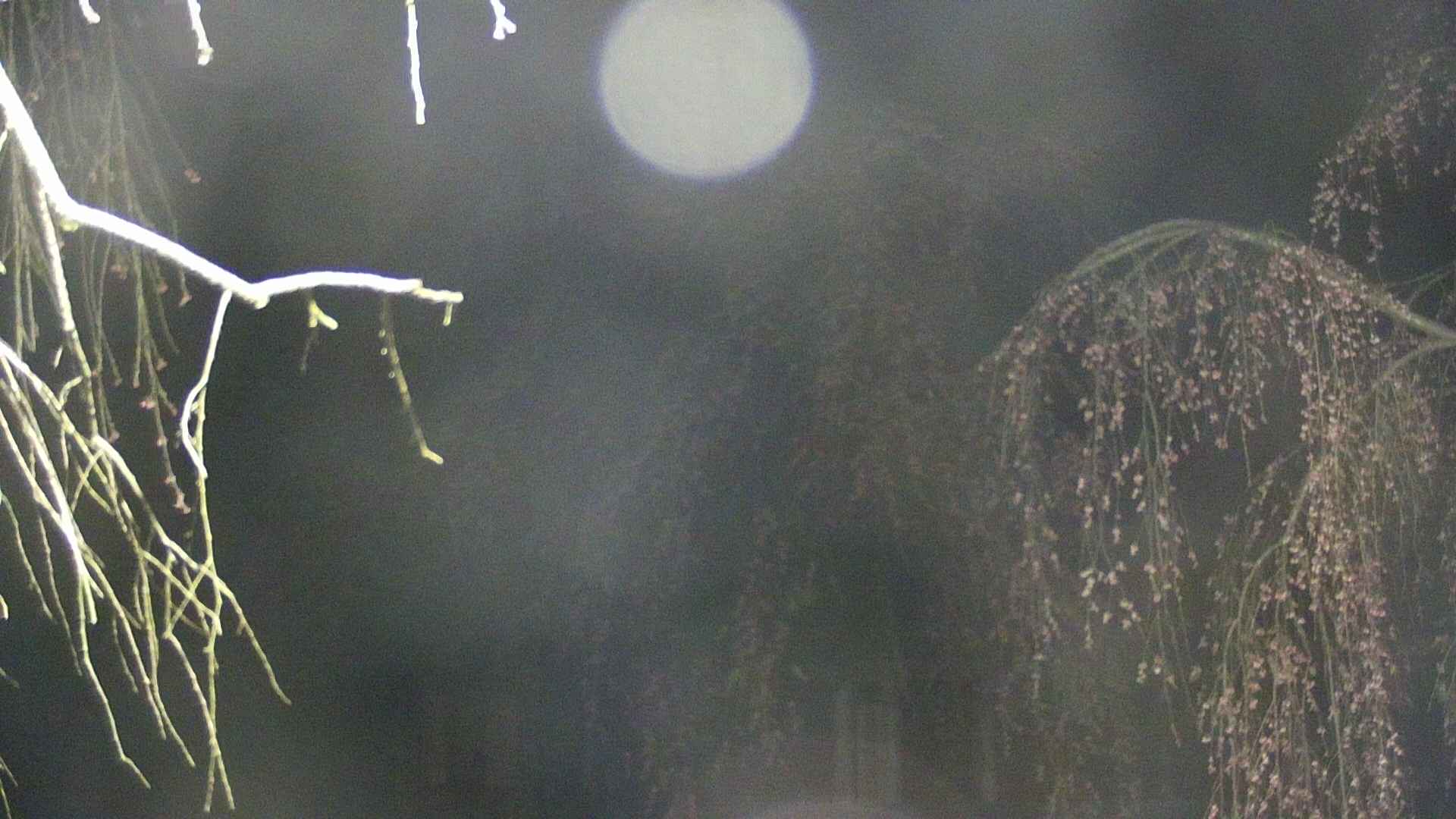 area2-20250421025106.jpg
