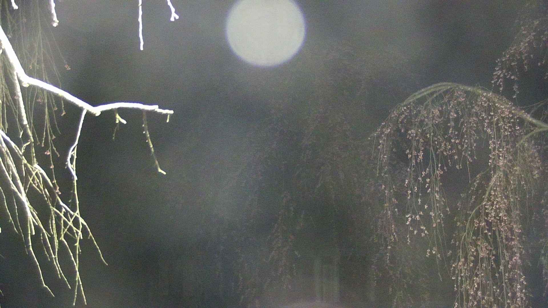 area2-20250421030106.jpg