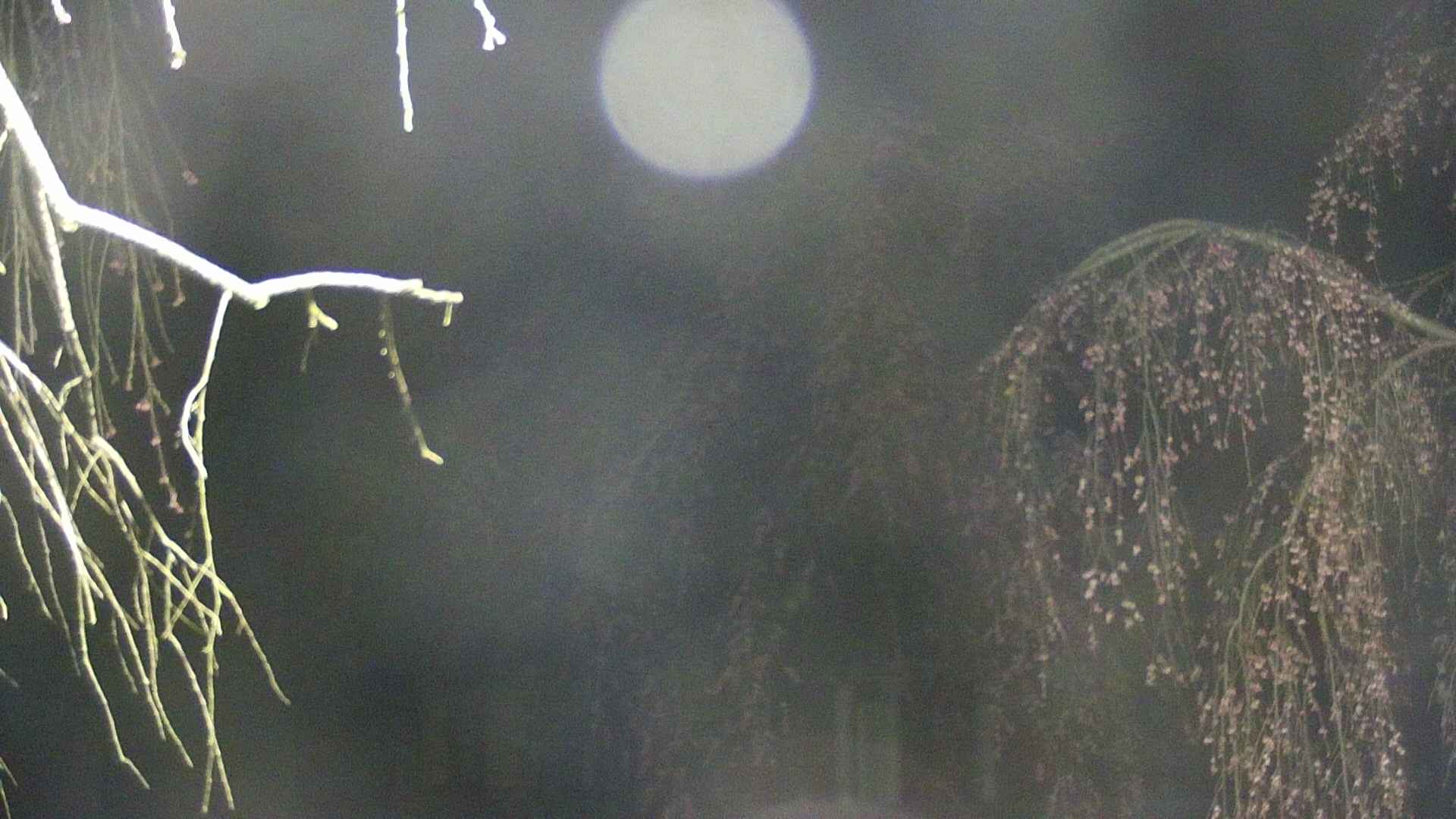 area2-20250421031106.jpg