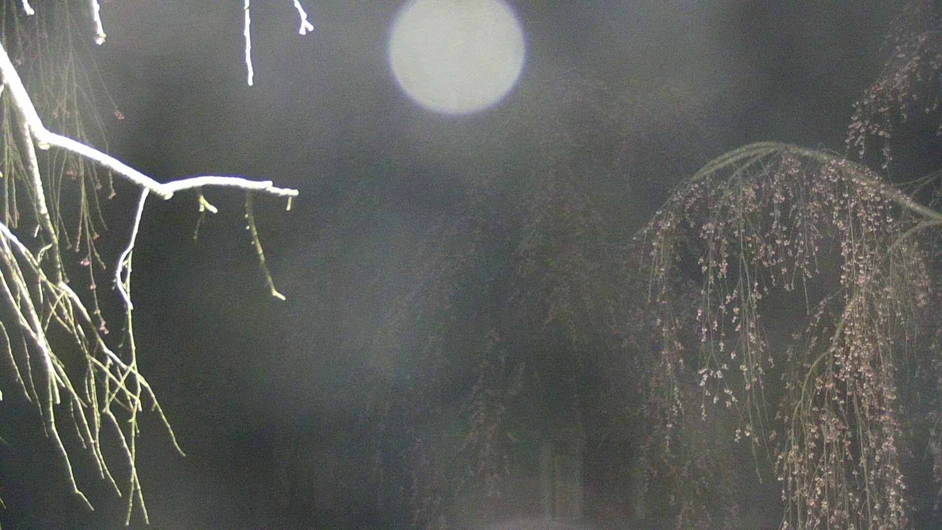 area2-20250421032106.jpg