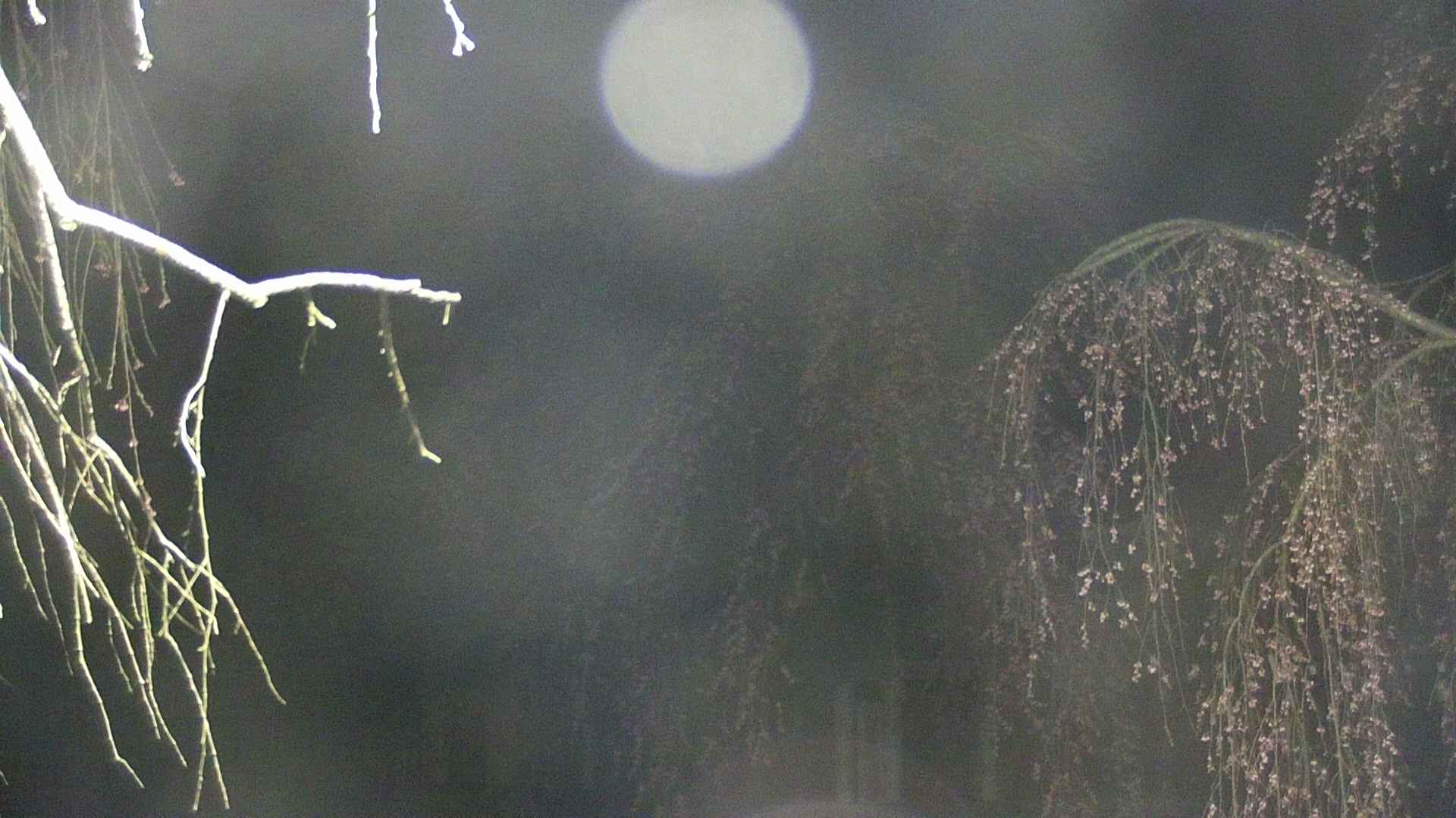 area2-20250421035109.jpg