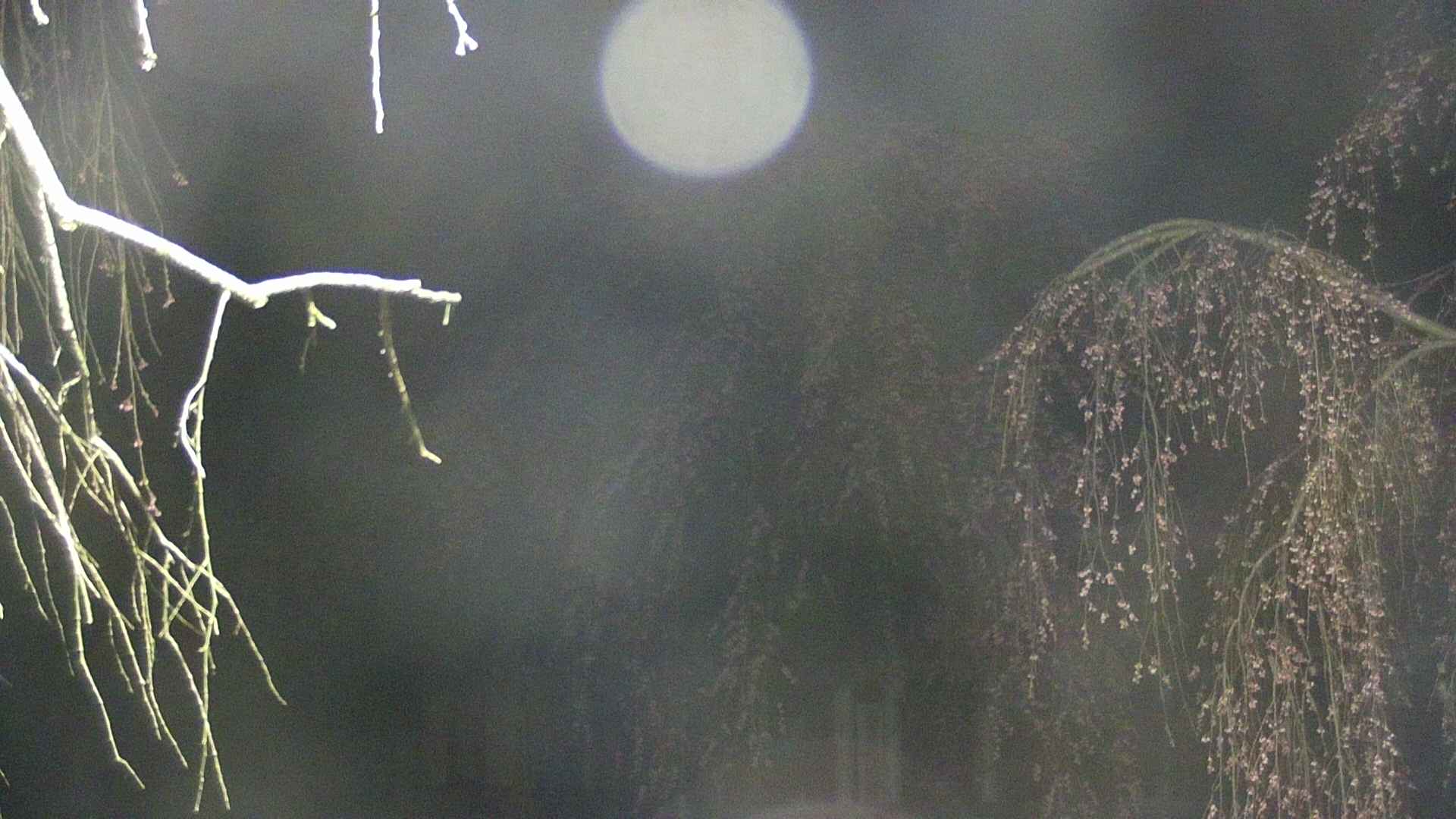 area2-20250421040105.jpg