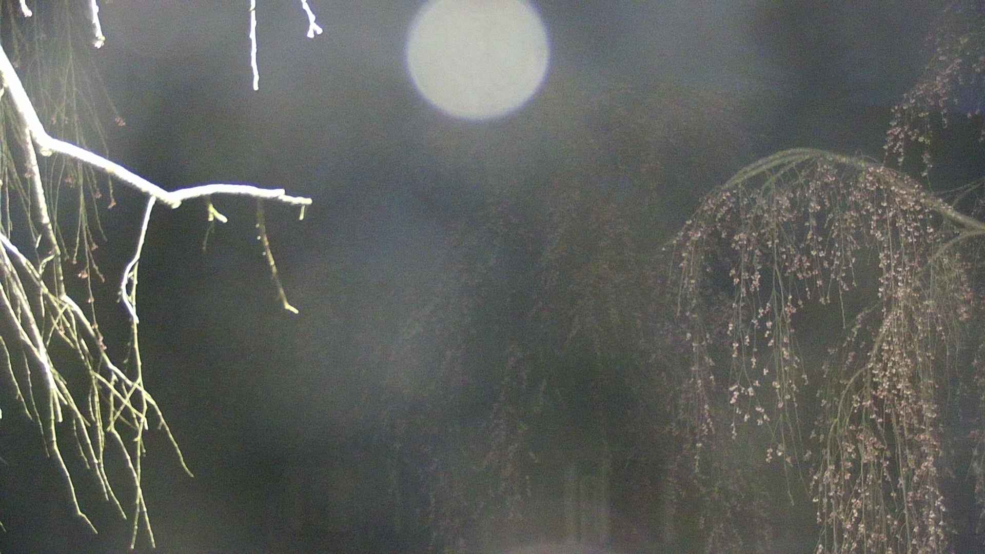area2-20250421041106.jpg