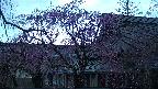 area2-20250421052108.jpg