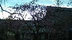 area2-20250421053109.jpg