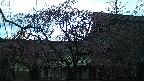 area2-20250421054107.jpg