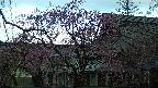 area2-20250421063107.jpg