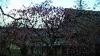 area2-20250421065107.jpg