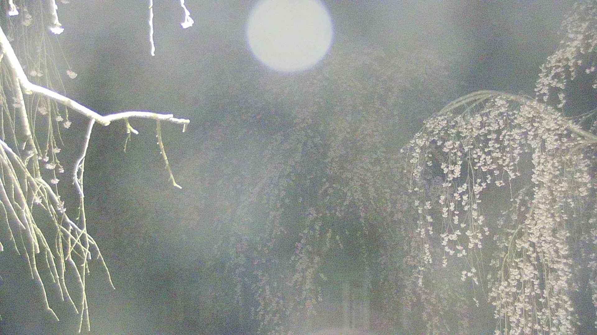 area2-20250423015105.jpg