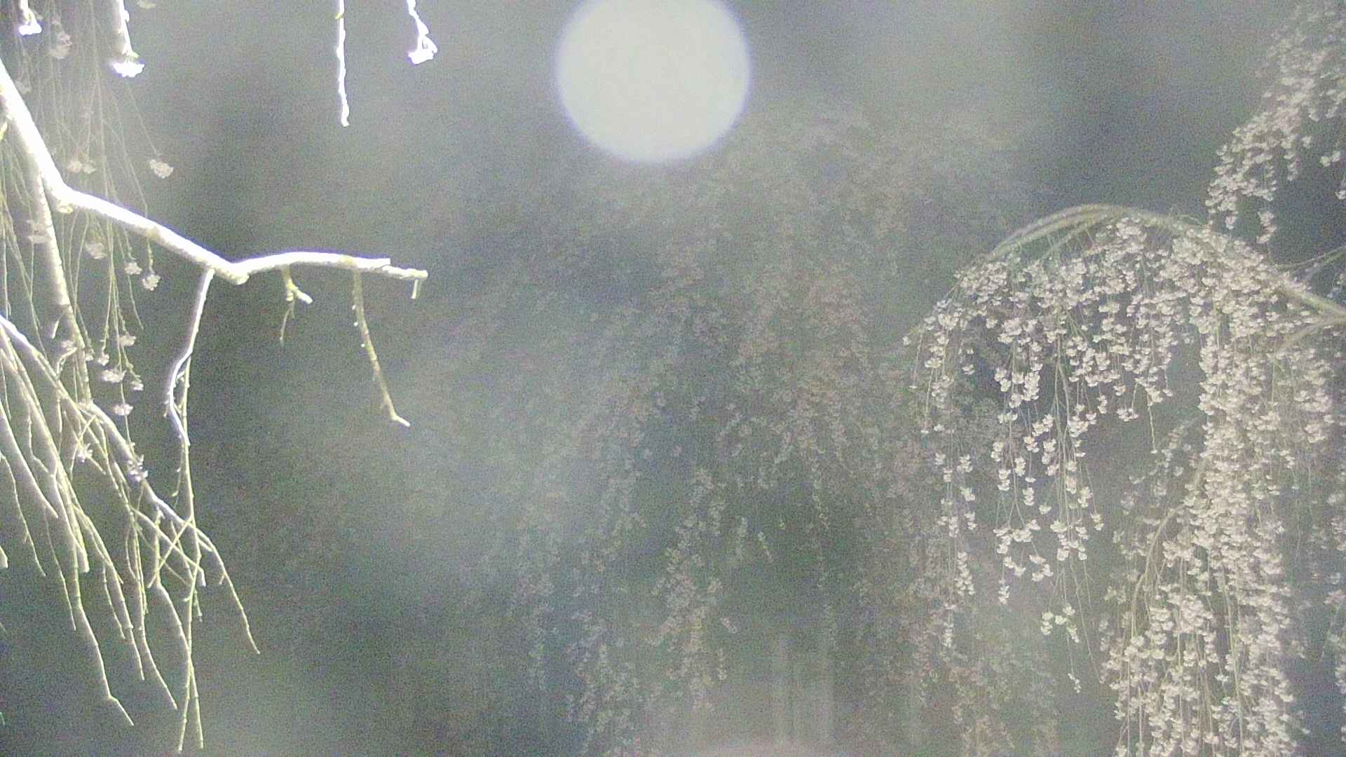 area2-20250423024106.jpg