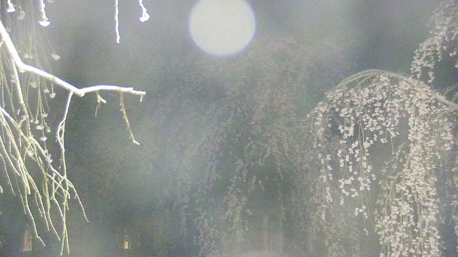 area2-20250423025106.jpg