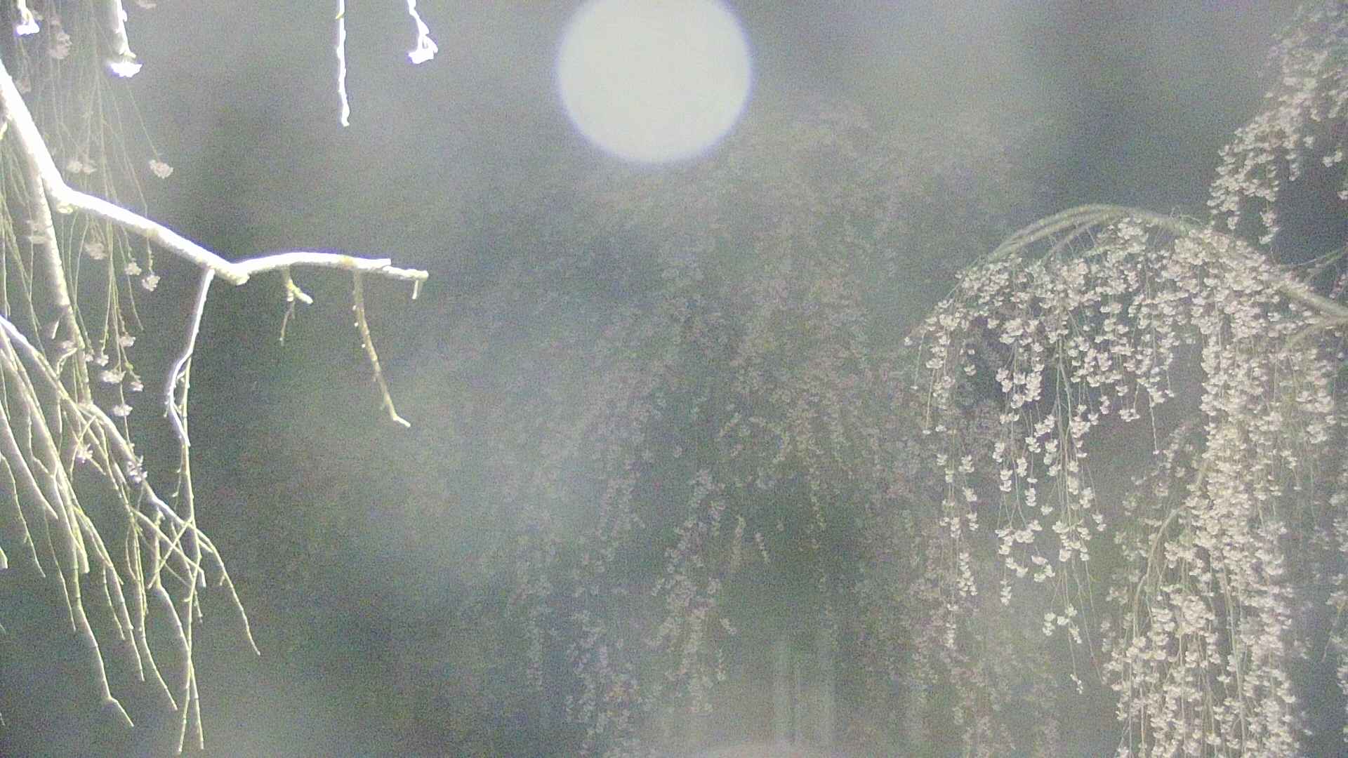 area2-20250423030107.jpg
