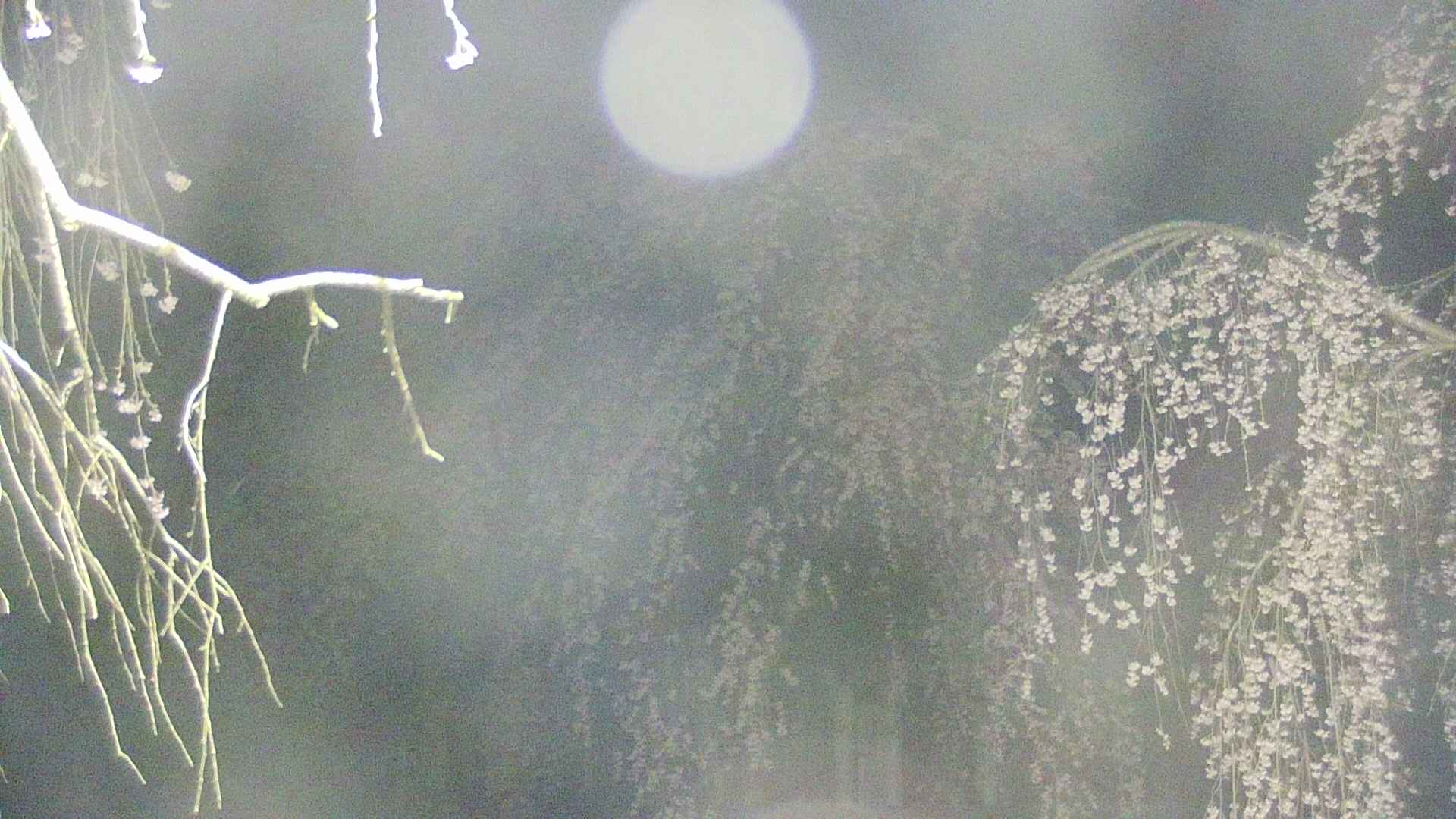 area2-20250423034106.jpg
