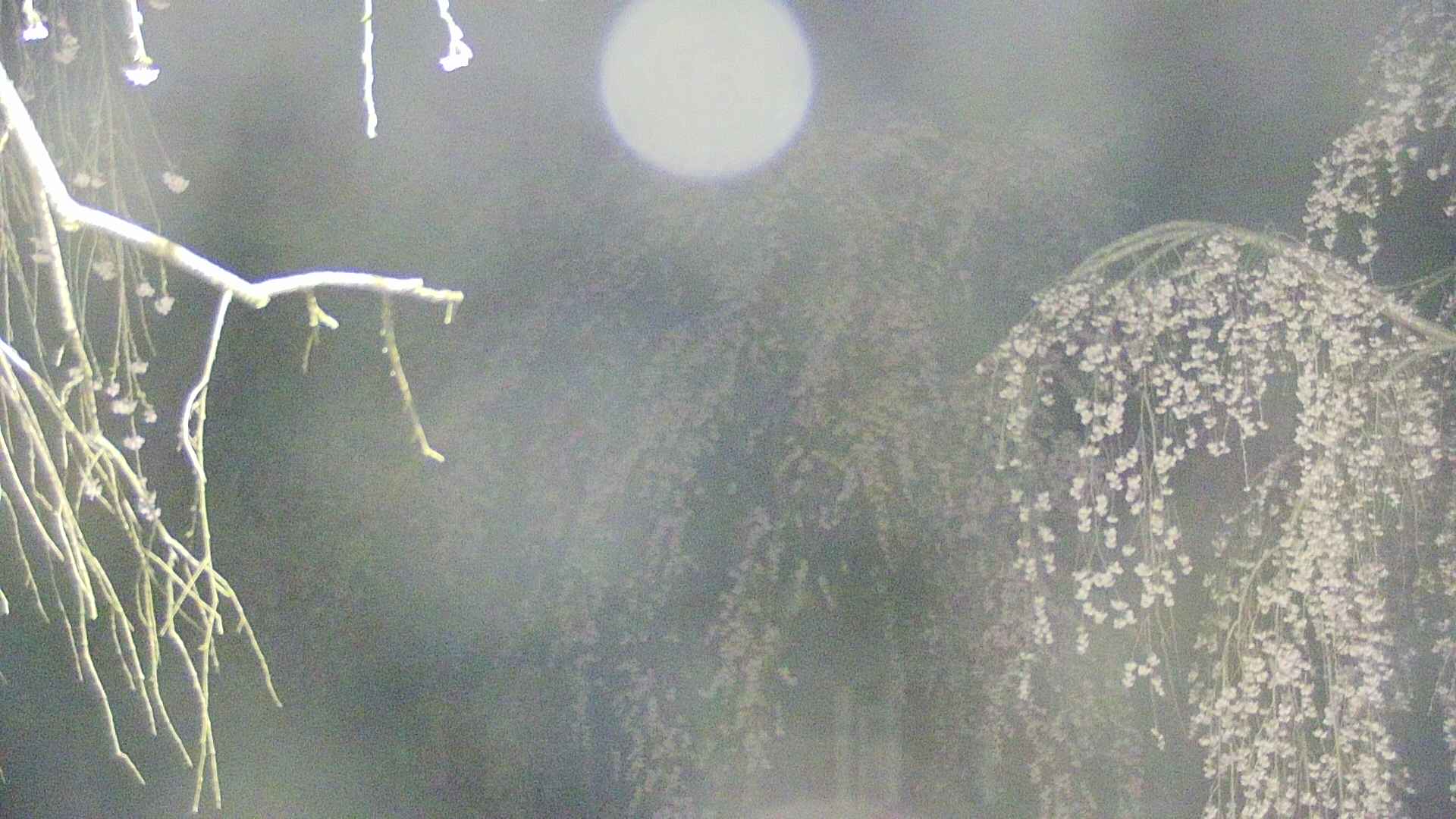 area2-20250423035105.jpg